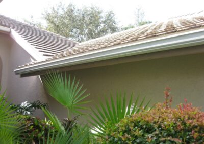 A house with palm trees and bushes in front of it