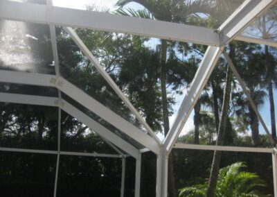 A view of trees from inside the house.