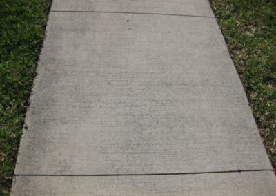 A sidewalk with some grass growing on it
