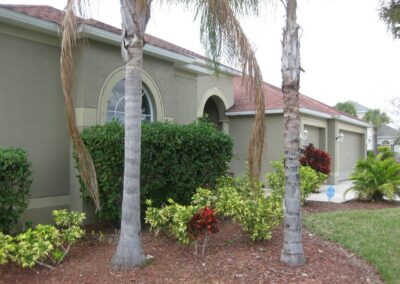 A couple of trees in front of a house.