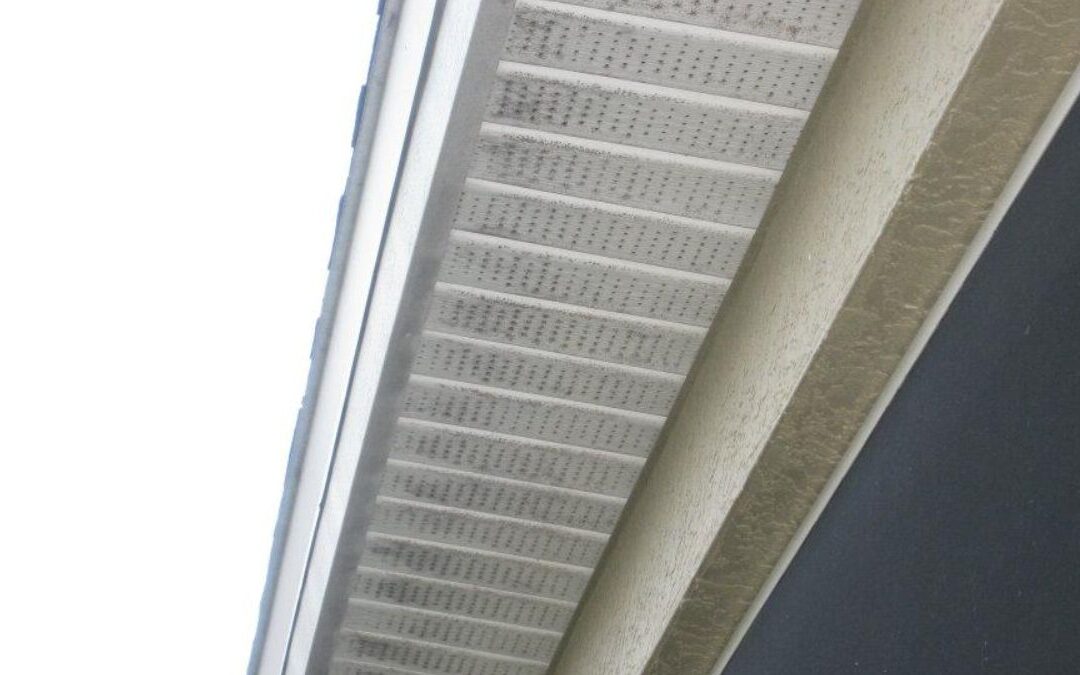 Will Power Washing Remove Mildew?